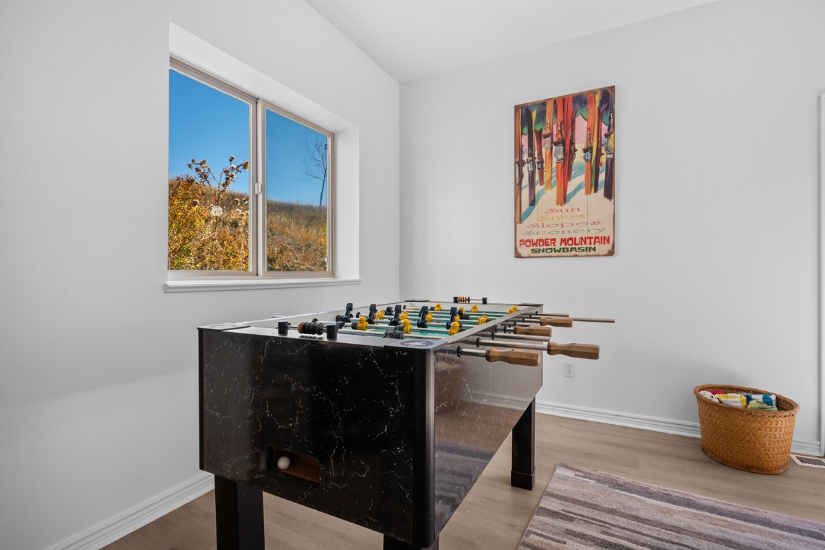 Game Room at the home