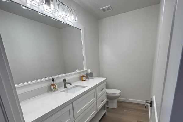 Downstairs Guest Bath