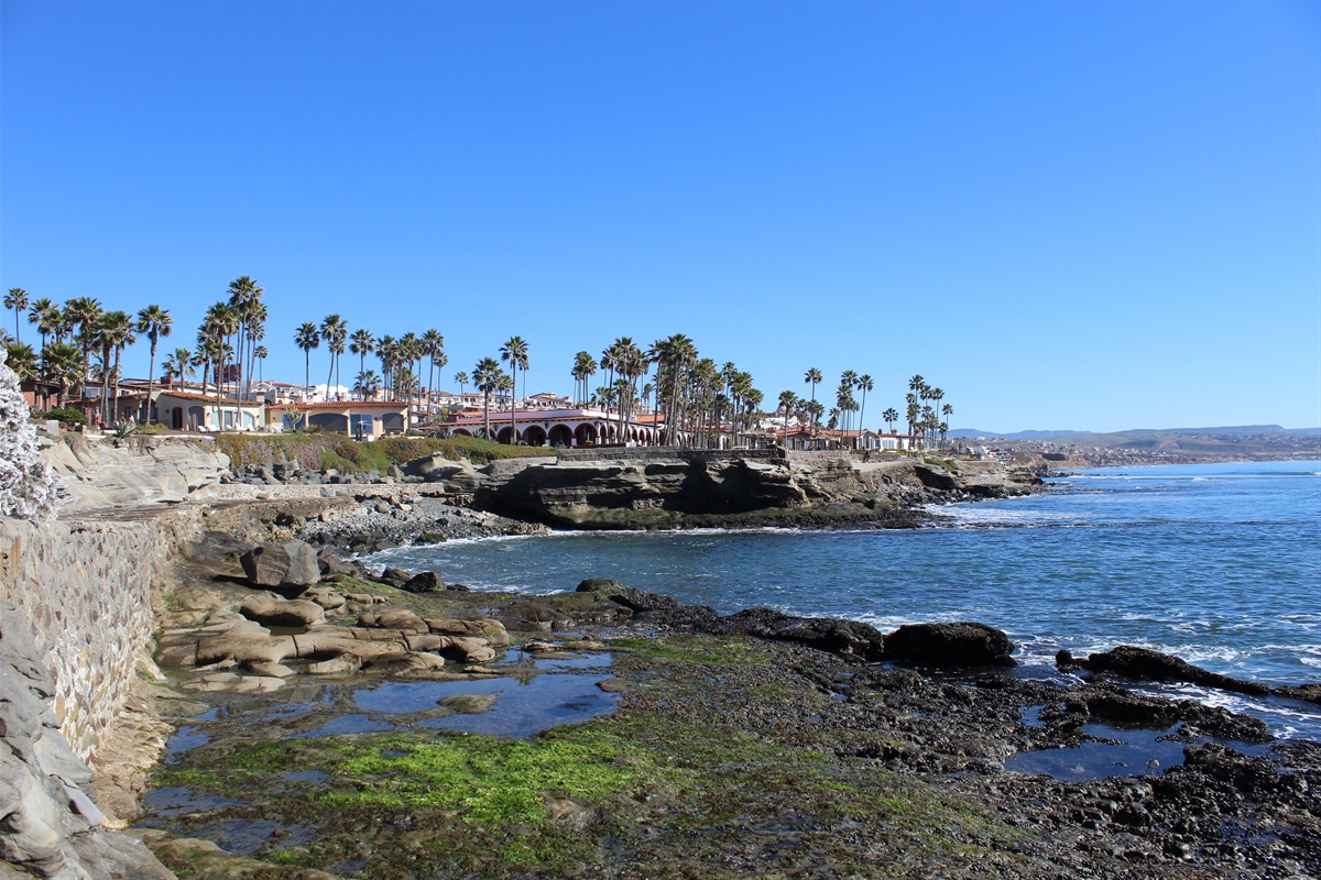 Las Gaviotas Coastline