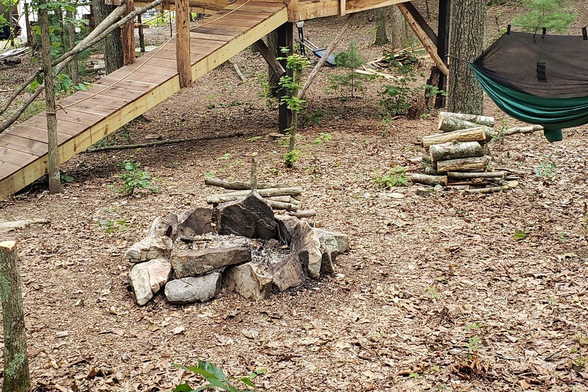 Driftwood