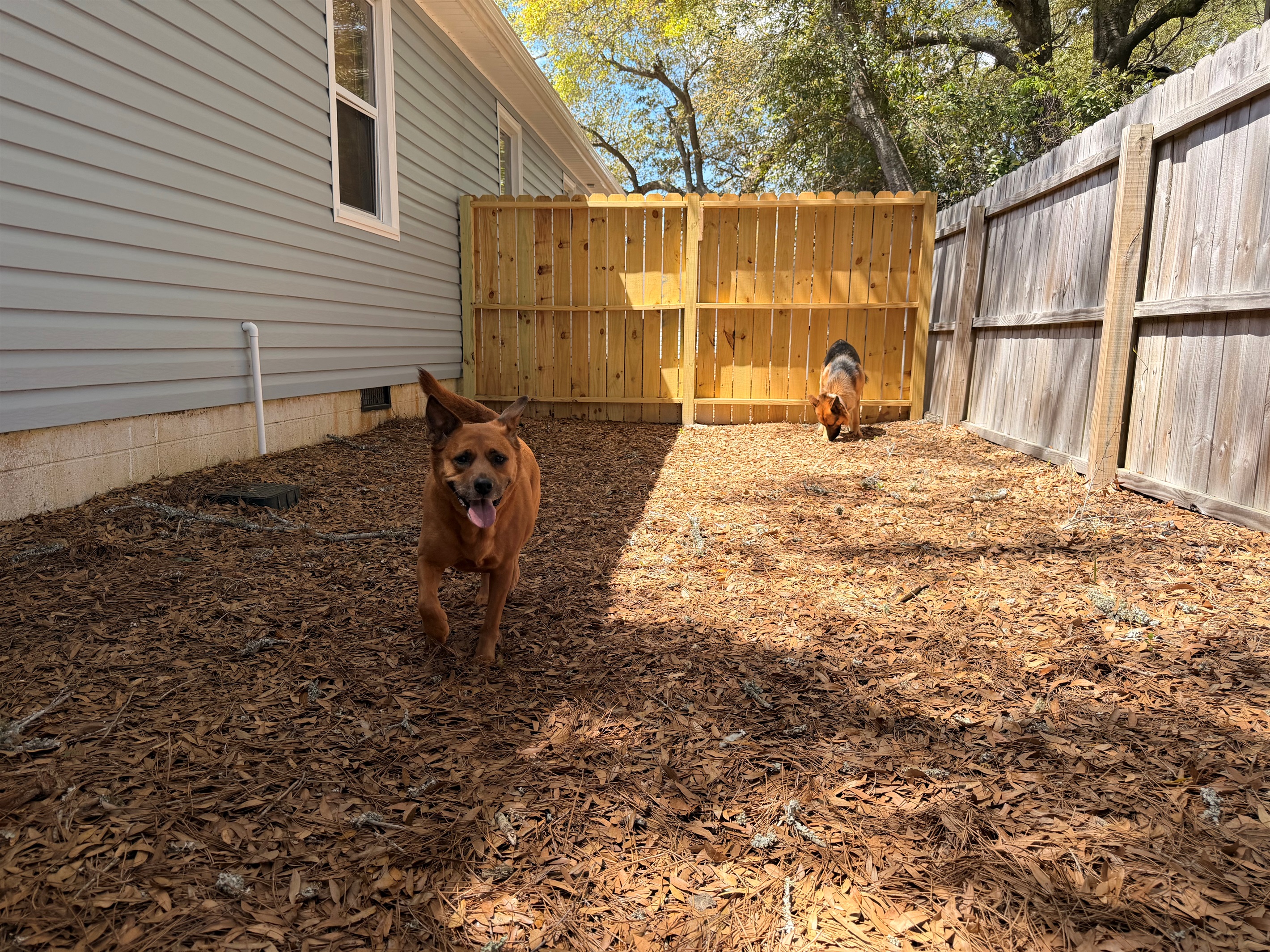 Outdoor Space