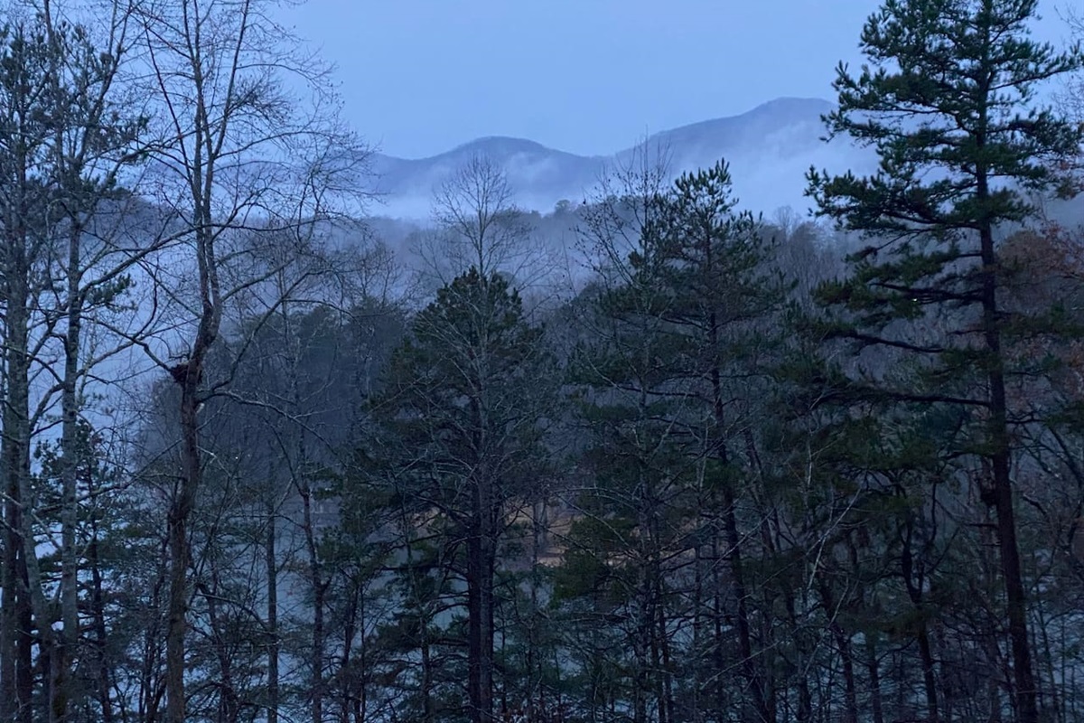 Foggy view from balcony