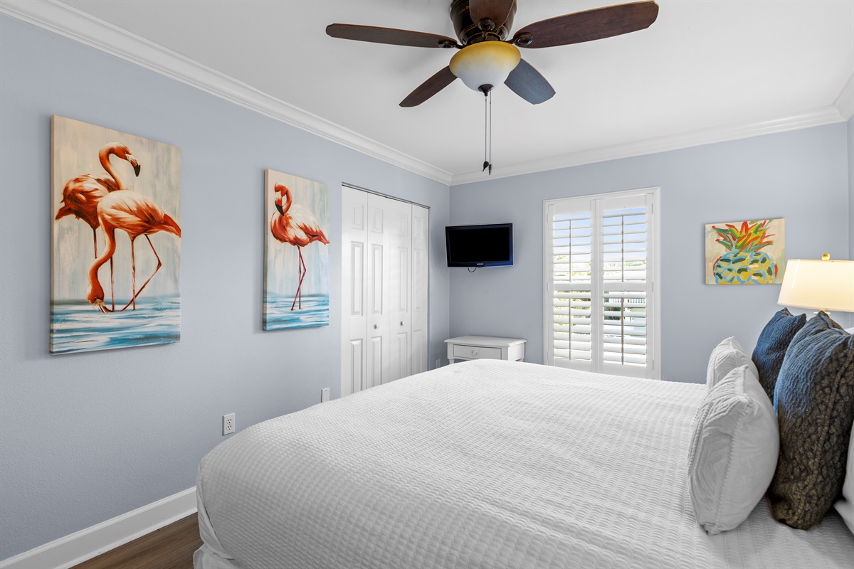 Main Floor Bedroom 1