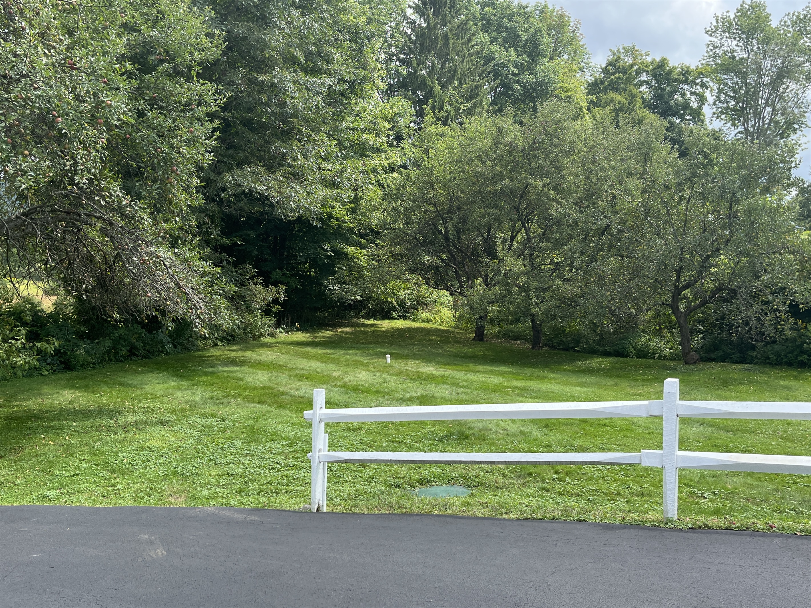 Back yard at Andrew's Place