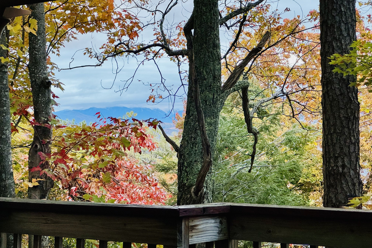 FALL BONUS RM DECK VIEW
