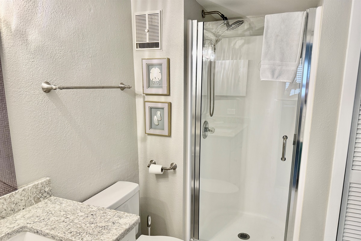 New Glass Shower Door