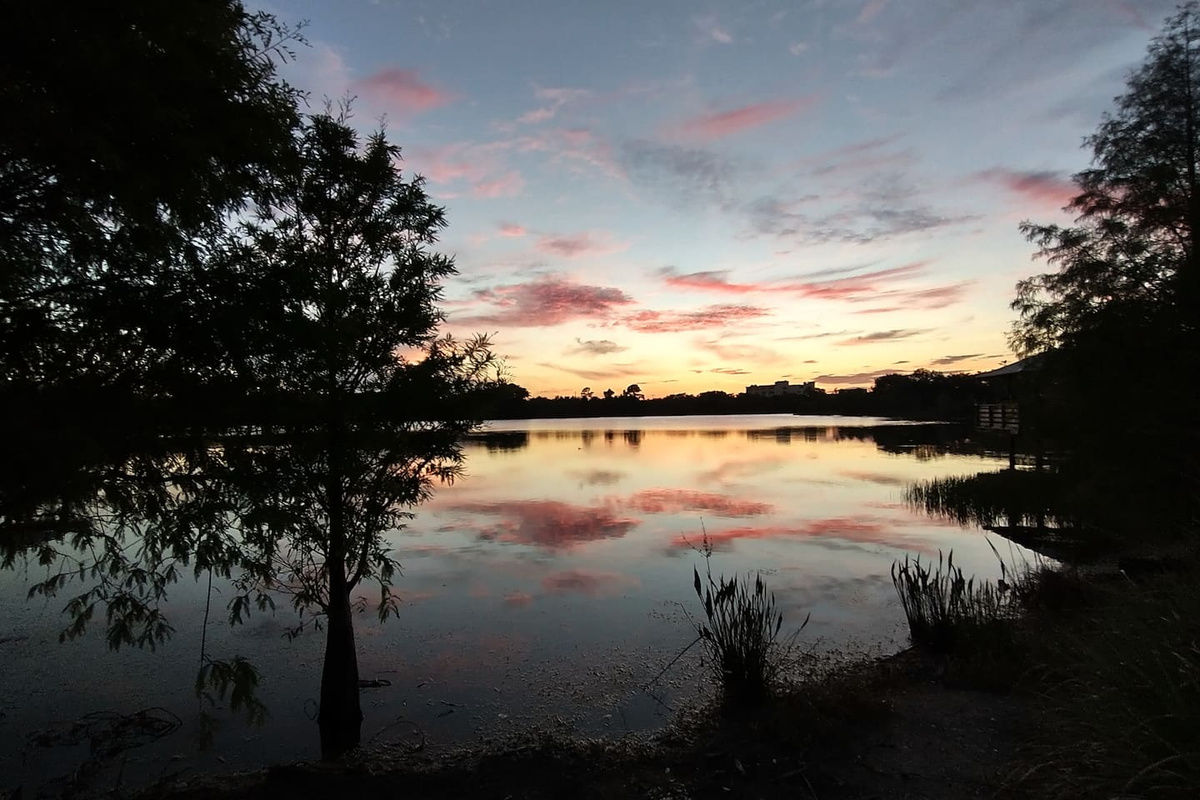 Twilight at a nearby hiking trail