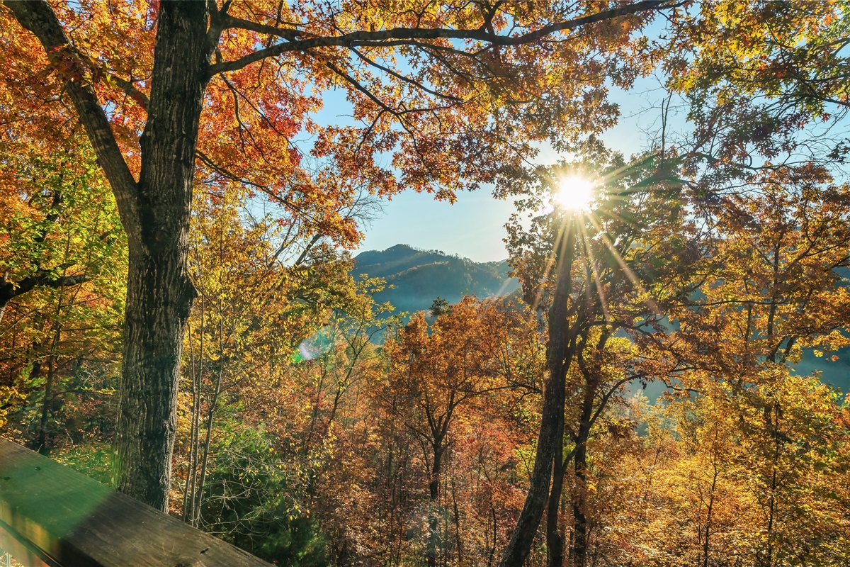 Wake up to this view.