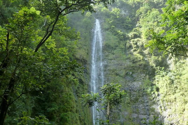 drive to hana!