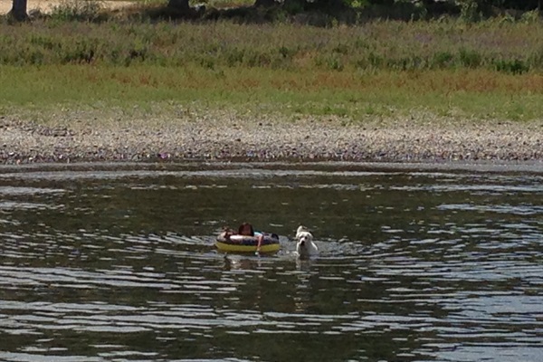 Tubing and swimming off private beach