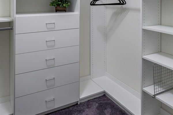 Walk-in closet with valet and clothes steamer