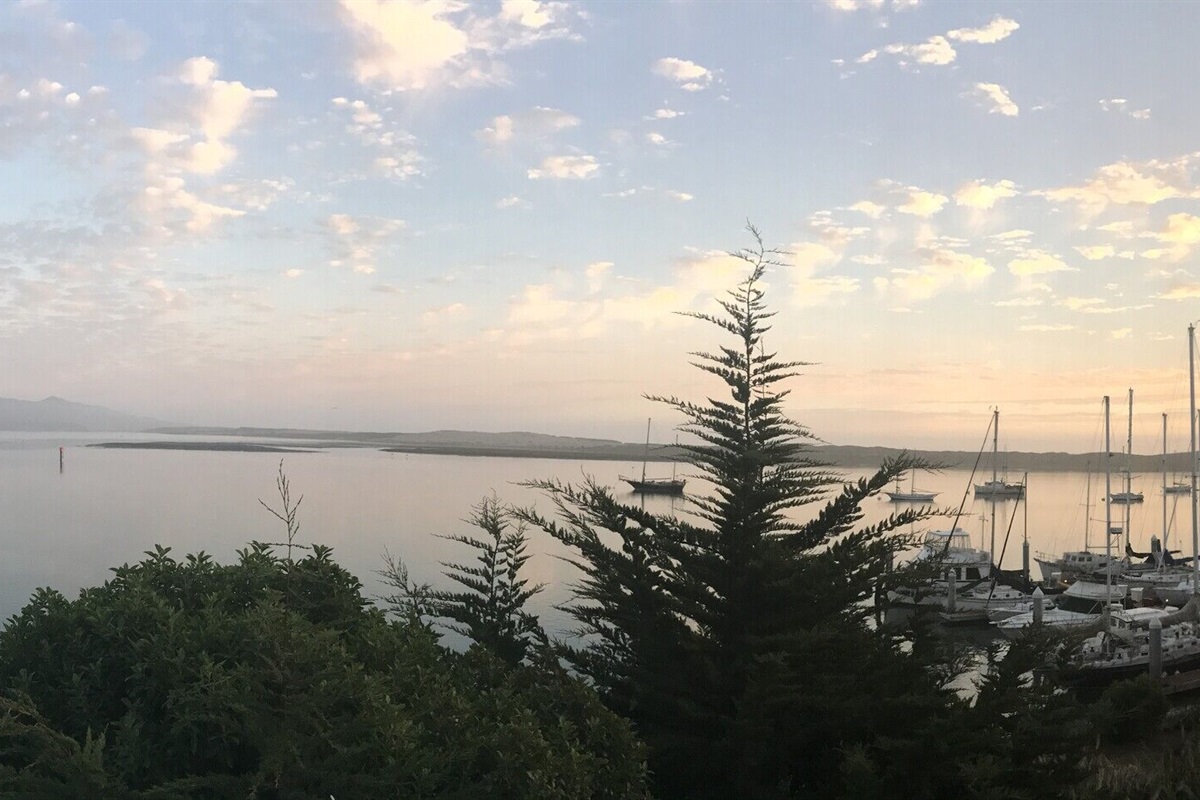 Panoramic view from deck
