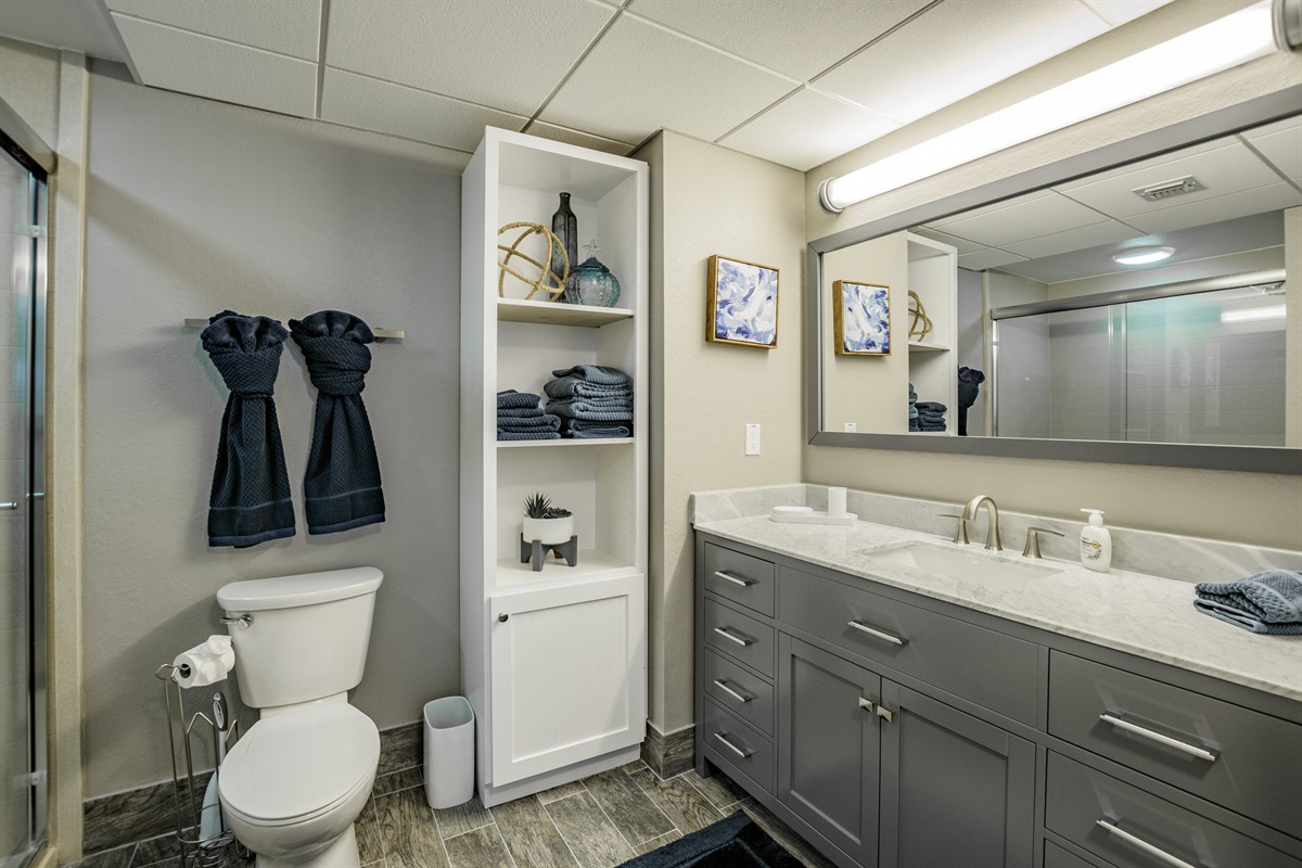 Master bathroom vanity area