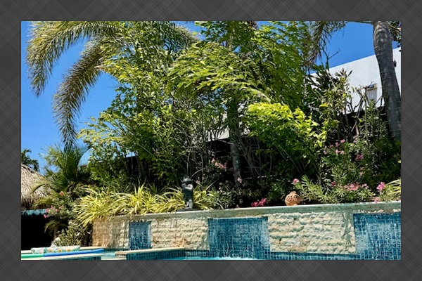 Lovely swaying palms that light up at night!