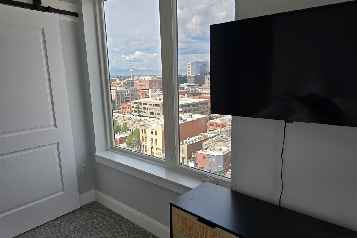 Amazing views - giant walk in closet with barn doors - smart TV