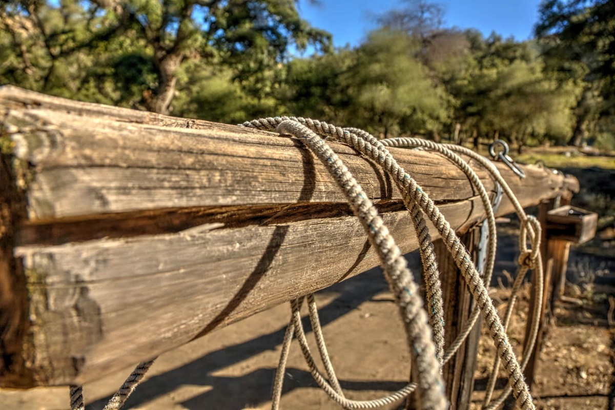Corral
