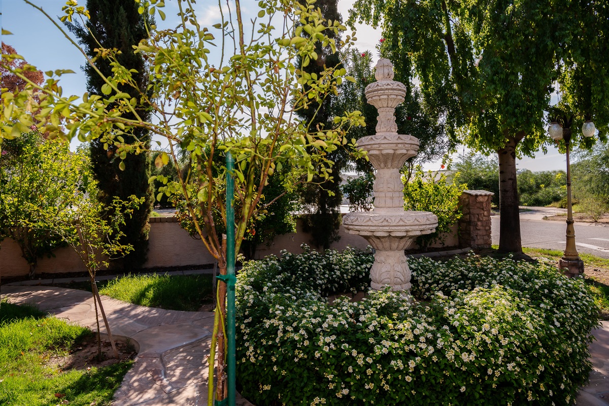 A classic stone fountain anchors this lush, tree-lined yard, inviting calm moments and shaded relaxation.