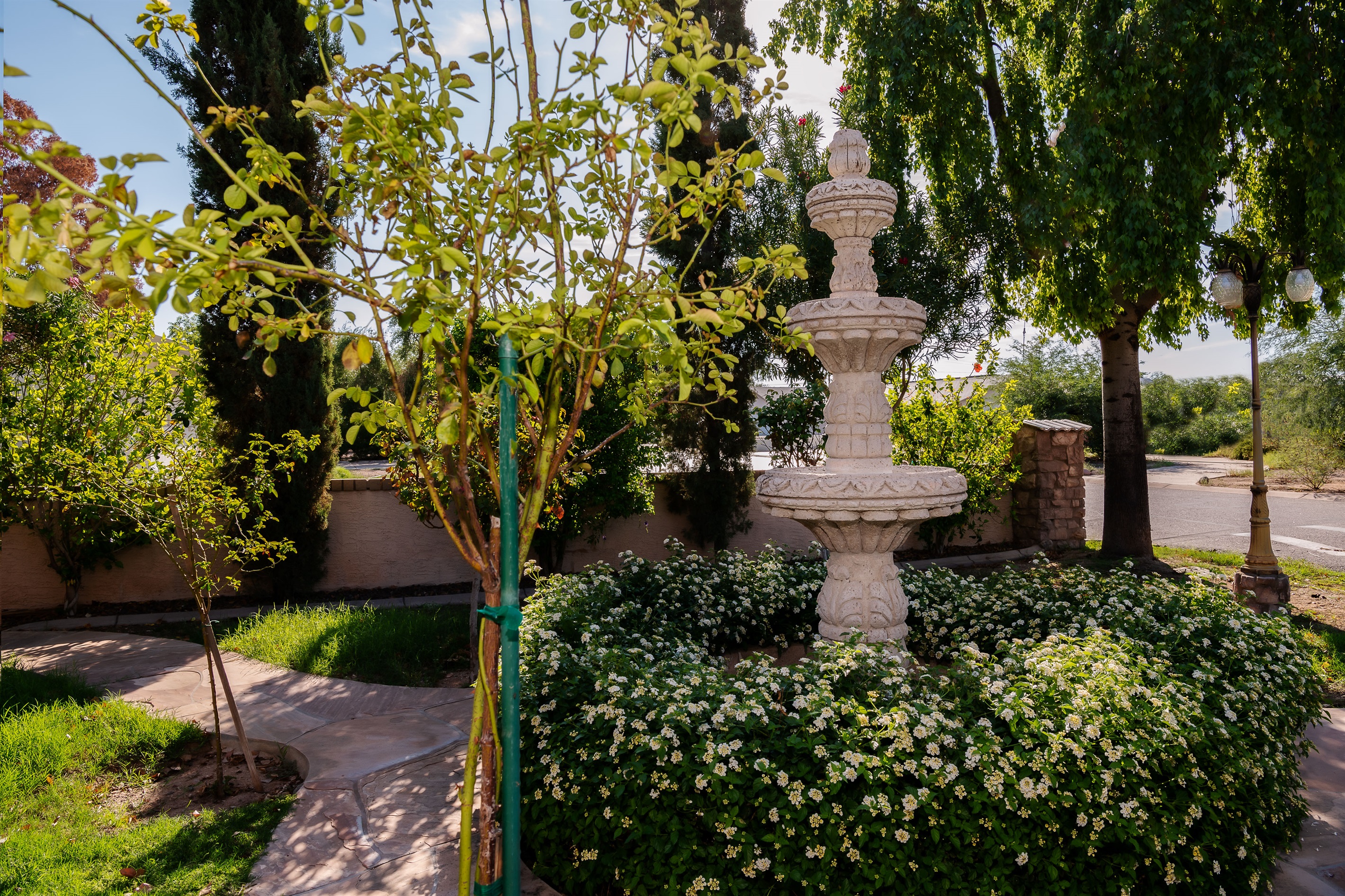 A classic stone fountain anchors this lush, tree-lined yard, inviting calm moments and shaded relaxation.