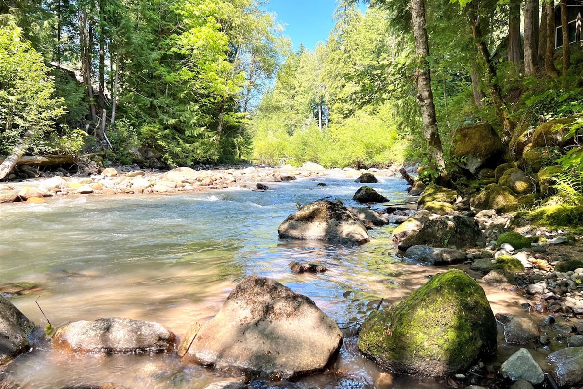 The Sandy River Behind and Bellow Chalet Cascade