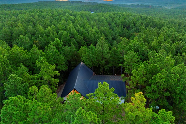 Nestled in a dense forest on 1.25 acres; it's your ultimate secluded retreat.