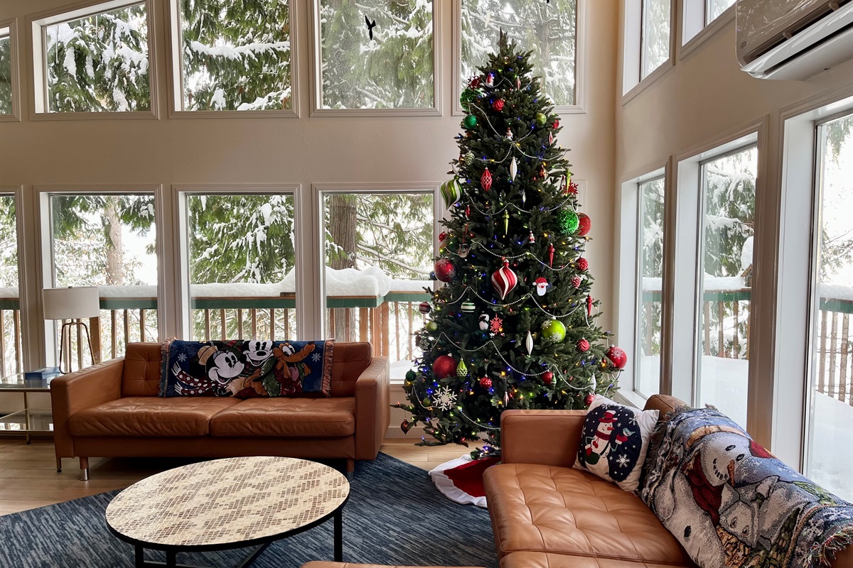 Holiday Decorations are up from mid-Nov - January