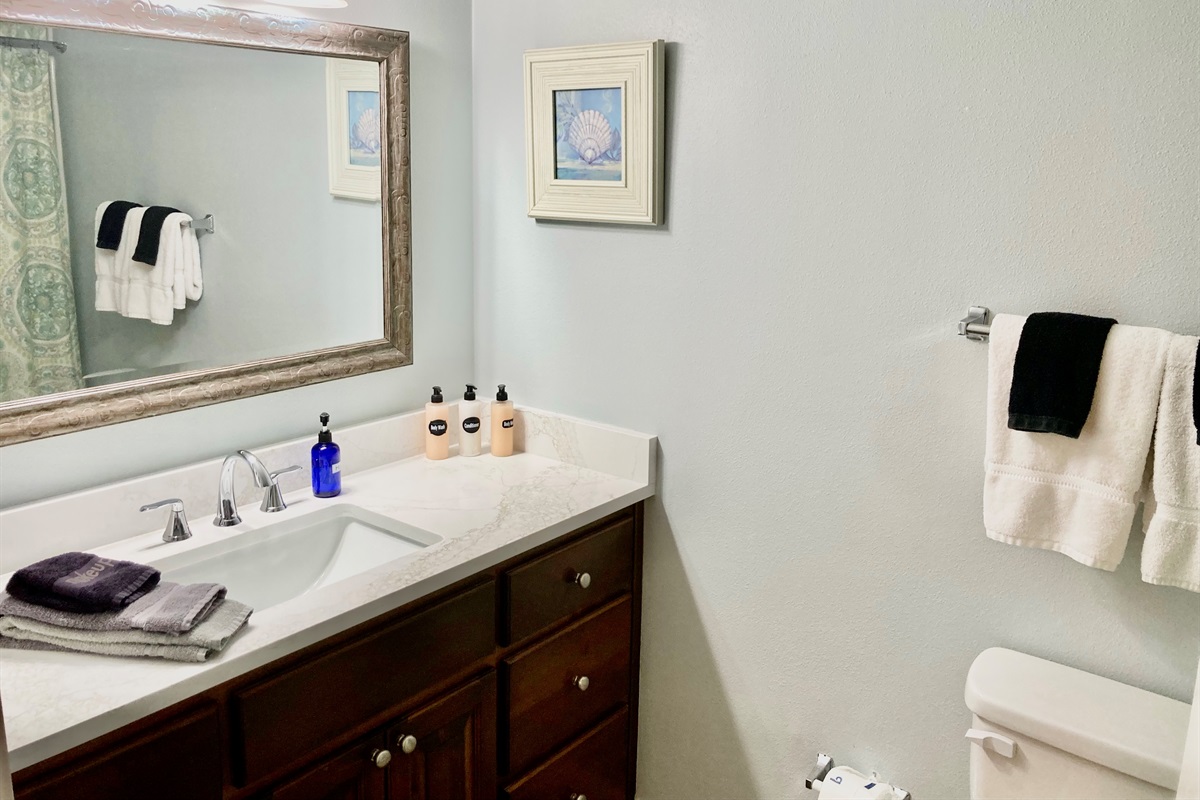 New quartz counter tops and faucet!