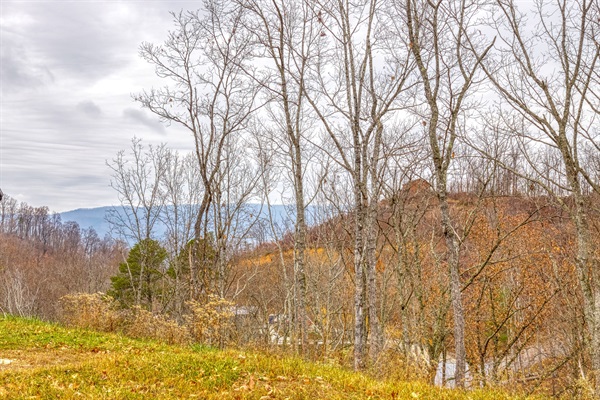 A glimpse of your mountain escape view - wrapped in warm wood and surrounded by nature