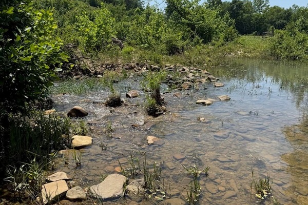 River access point with calm waters—perfect for wading or fishing (May 2025).