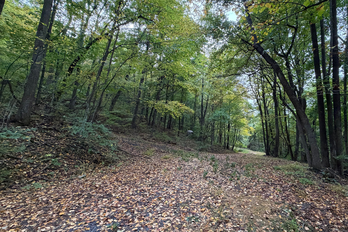 Numerous trails are on the 26 acre property, which you are free to use. We do have many wild animals to enjoy watching, but do take care and be safe. Read through the Guest Welcome Book about safety before you venture off.