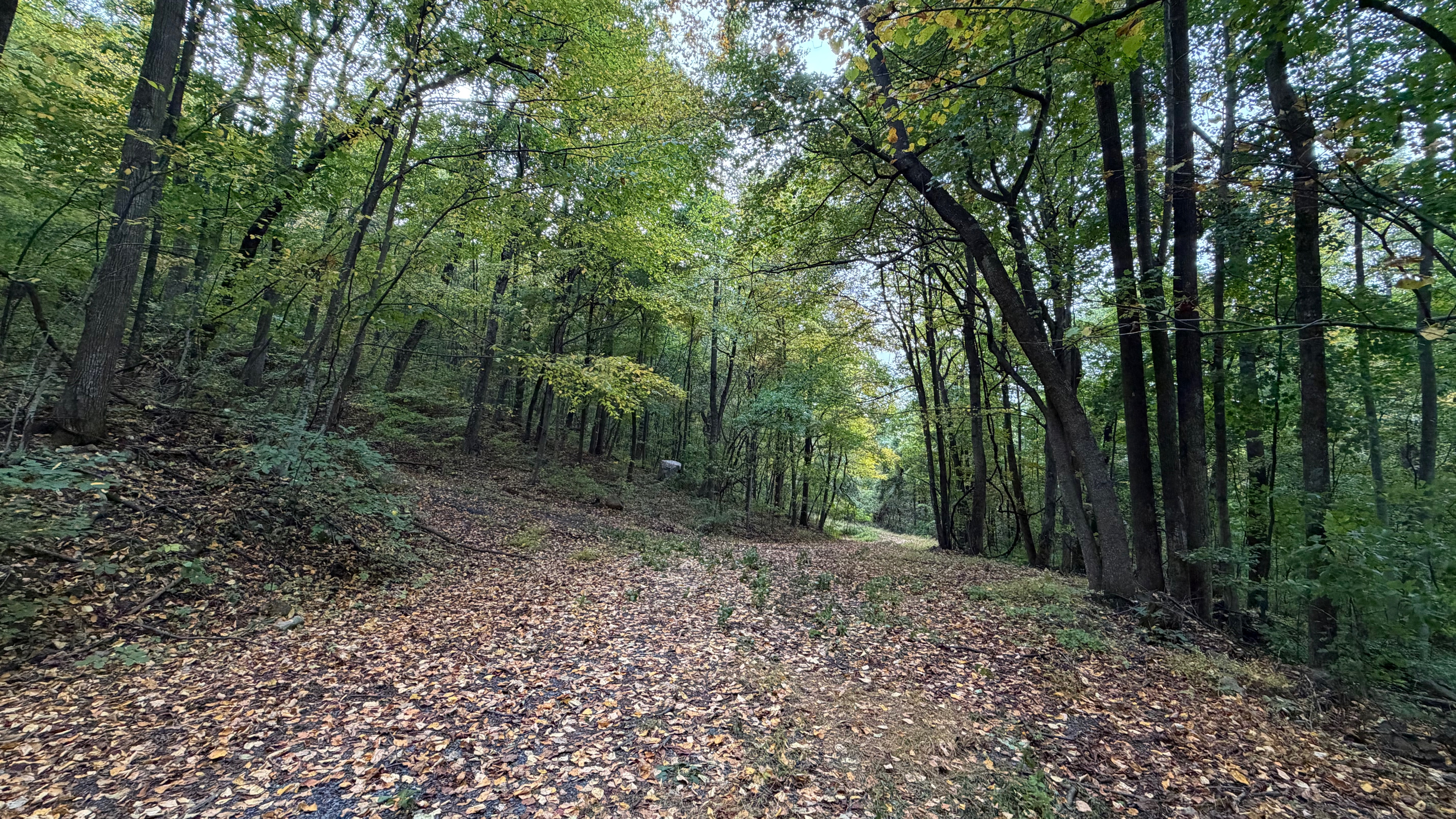 Numerous trails are on the 26 acre property, which you are free to use. We do have many wild animals to enjoy watching, but do take care and be safe. Read through the Guest Welcome Book about safety before you venture off.
