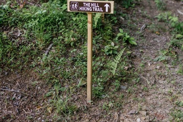 Escape into the forest and enjoy our private hiking trails. If you're lucky you can spot wild turkeys, deer, and the occasional bear.