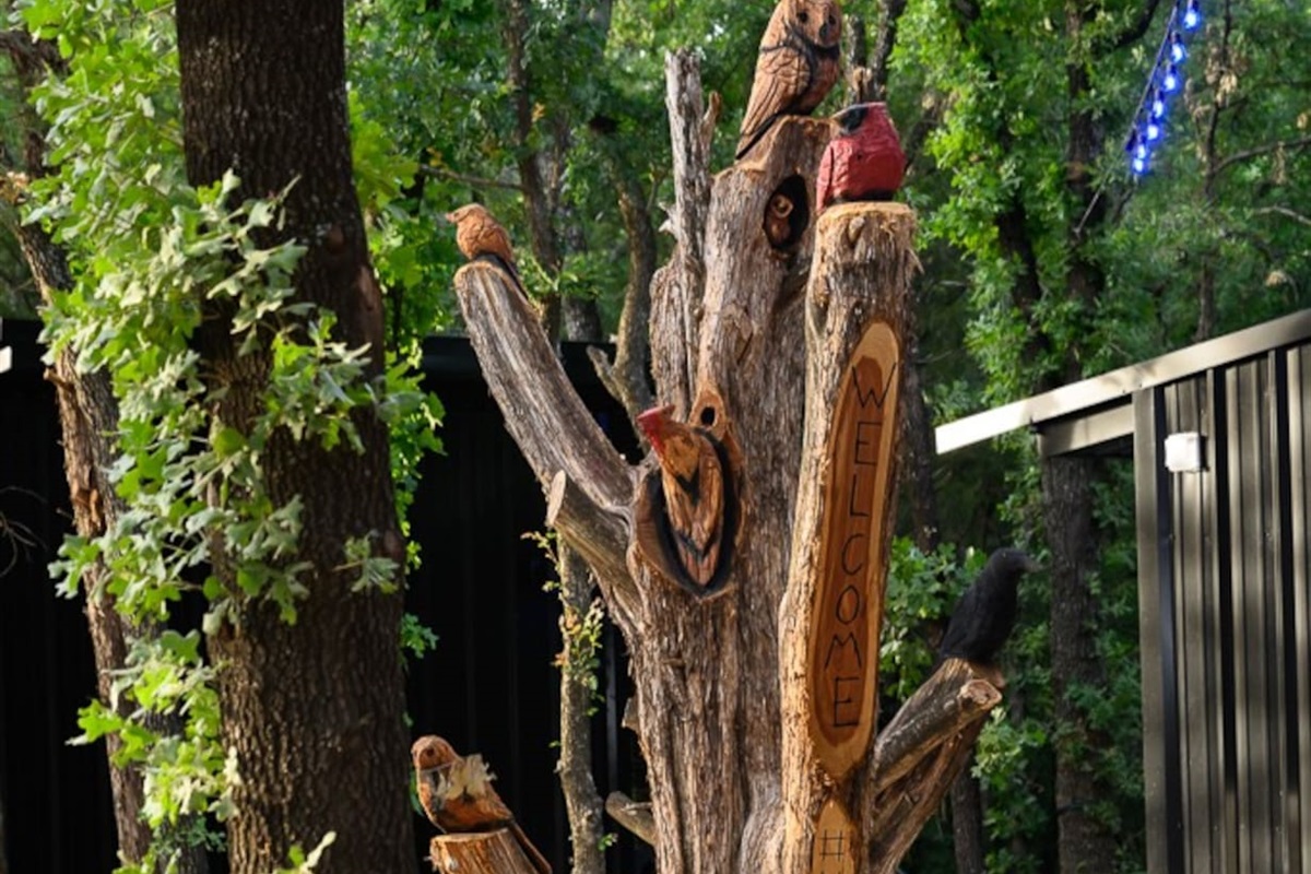 Take a picture with the tree carvings throughout the ranch and tag #4forty4ranch.com 