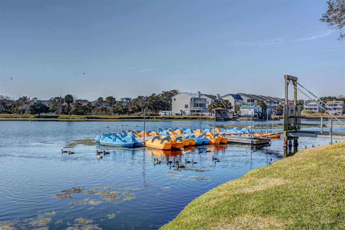 Paddleboat rentals nearby