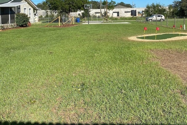 Yard fully fenced