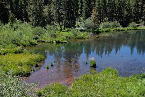 We love to walk down to the beaver and duck pond.