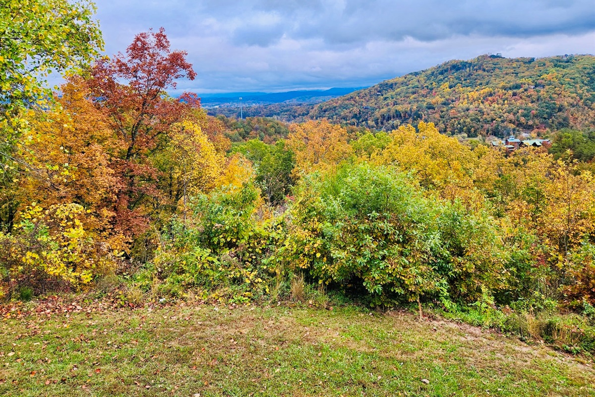 FALL DECK VIEW