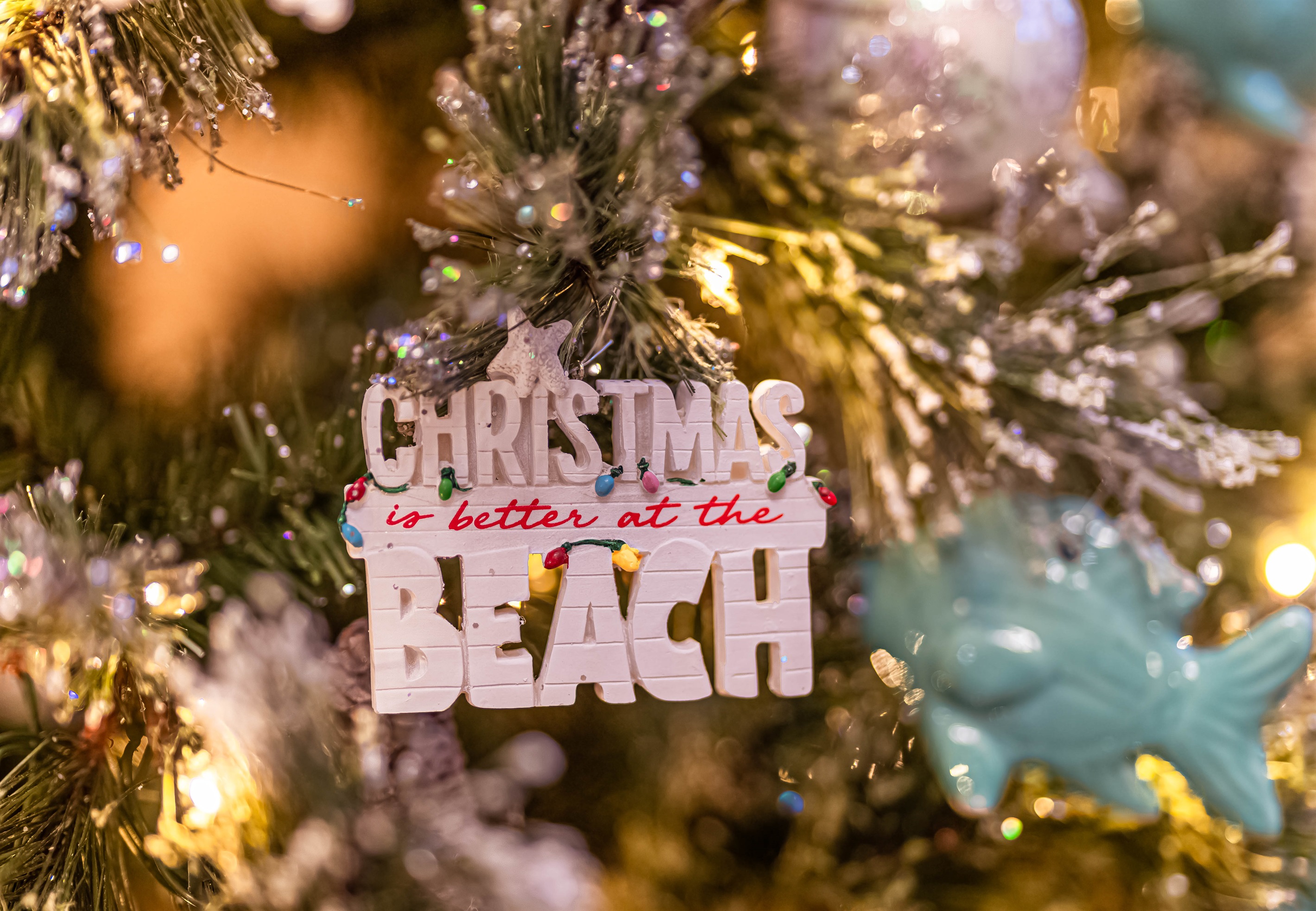 Christmas is better at the beach!