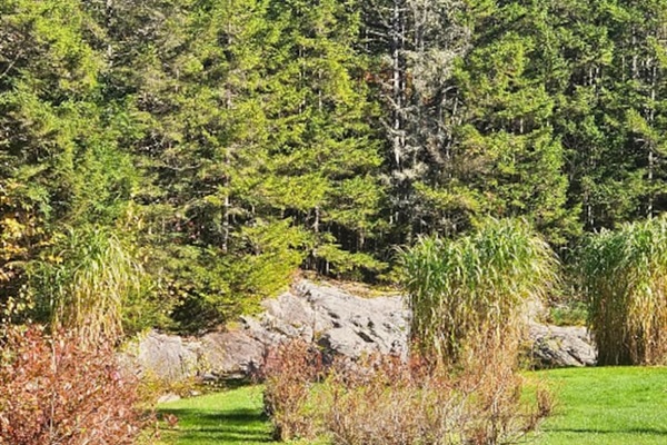There are many amazing views to take in on the property! 