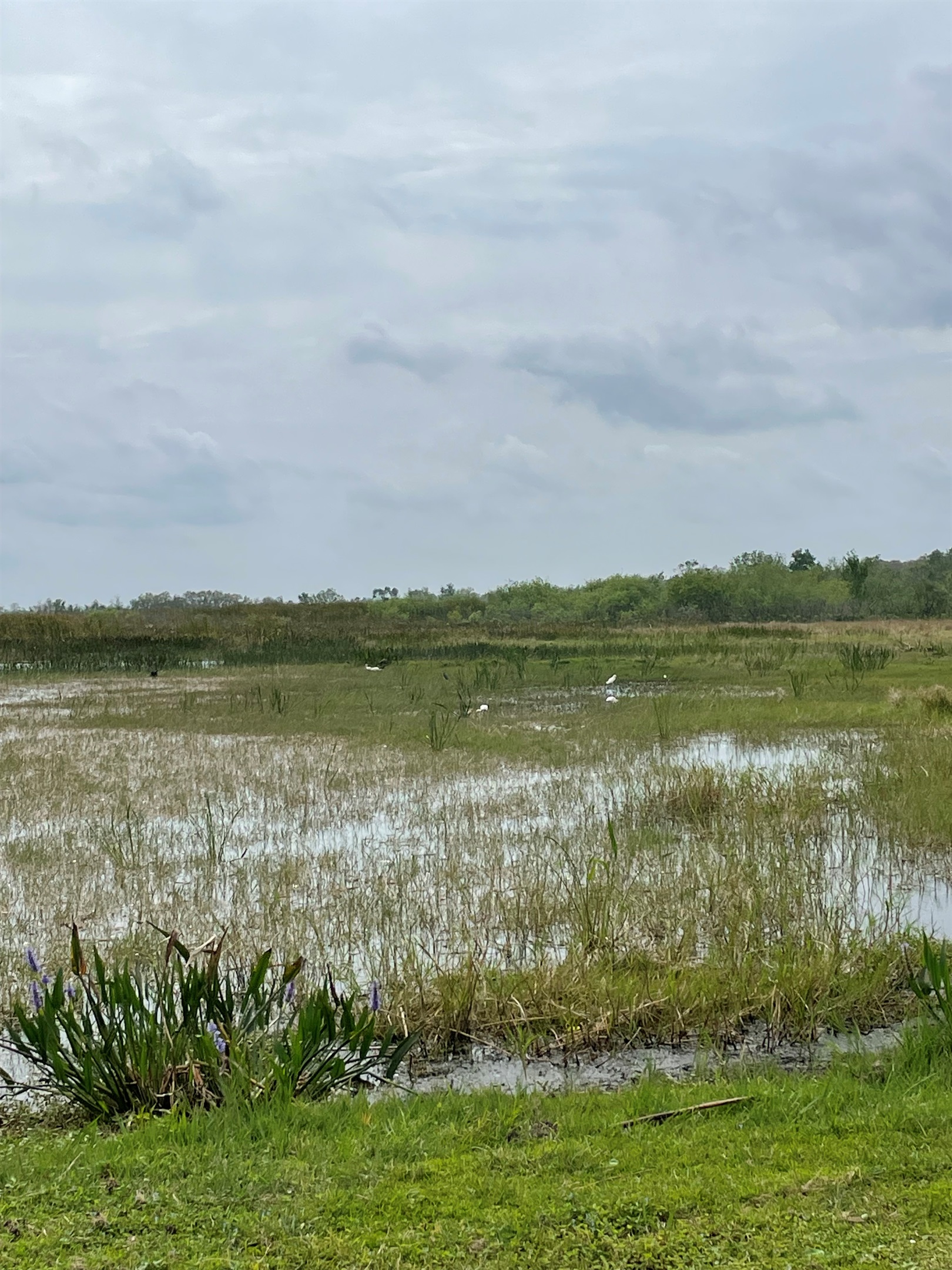 The views of East Lake Toho are breathtaking