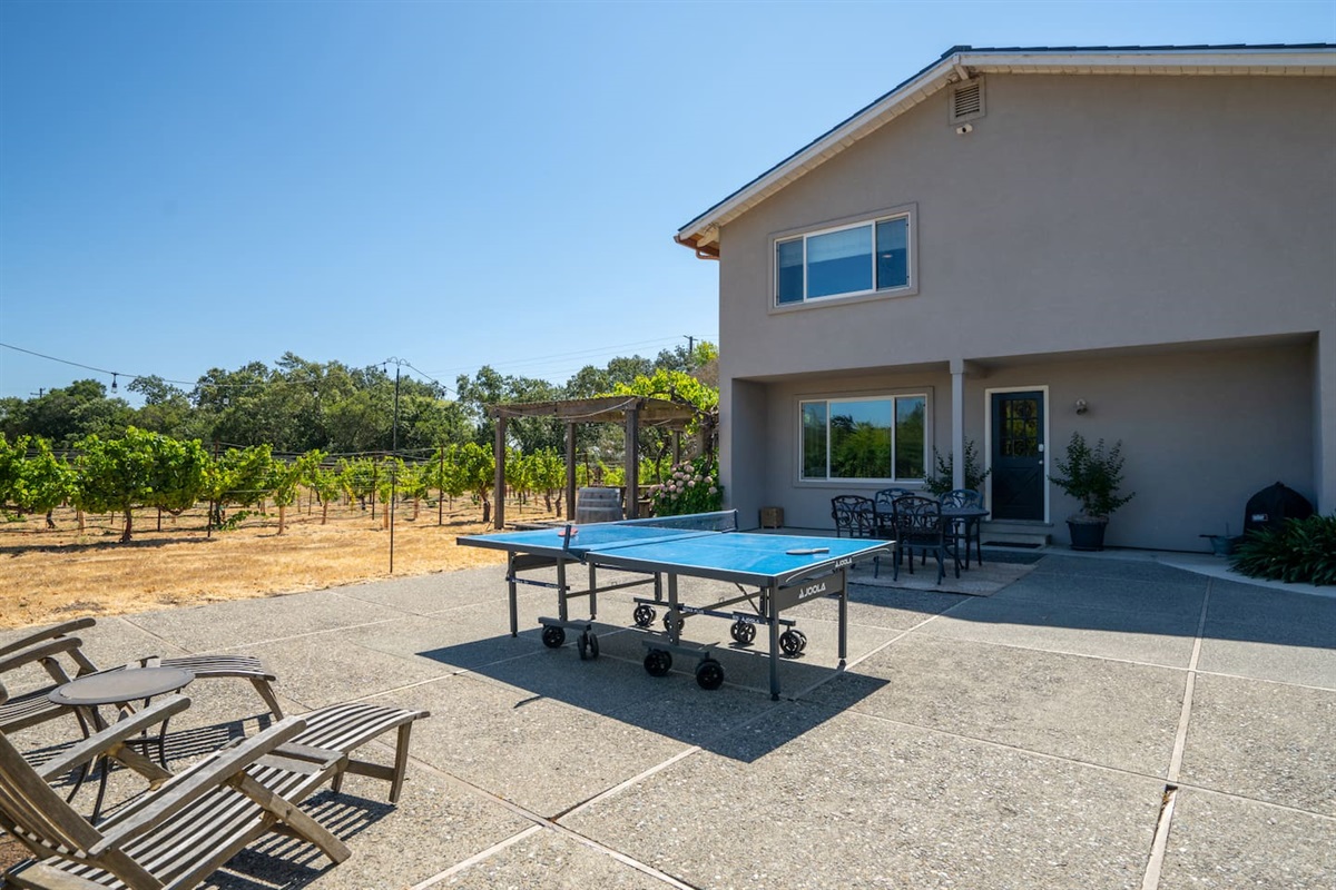 Backyard fun with a ping pong table.
