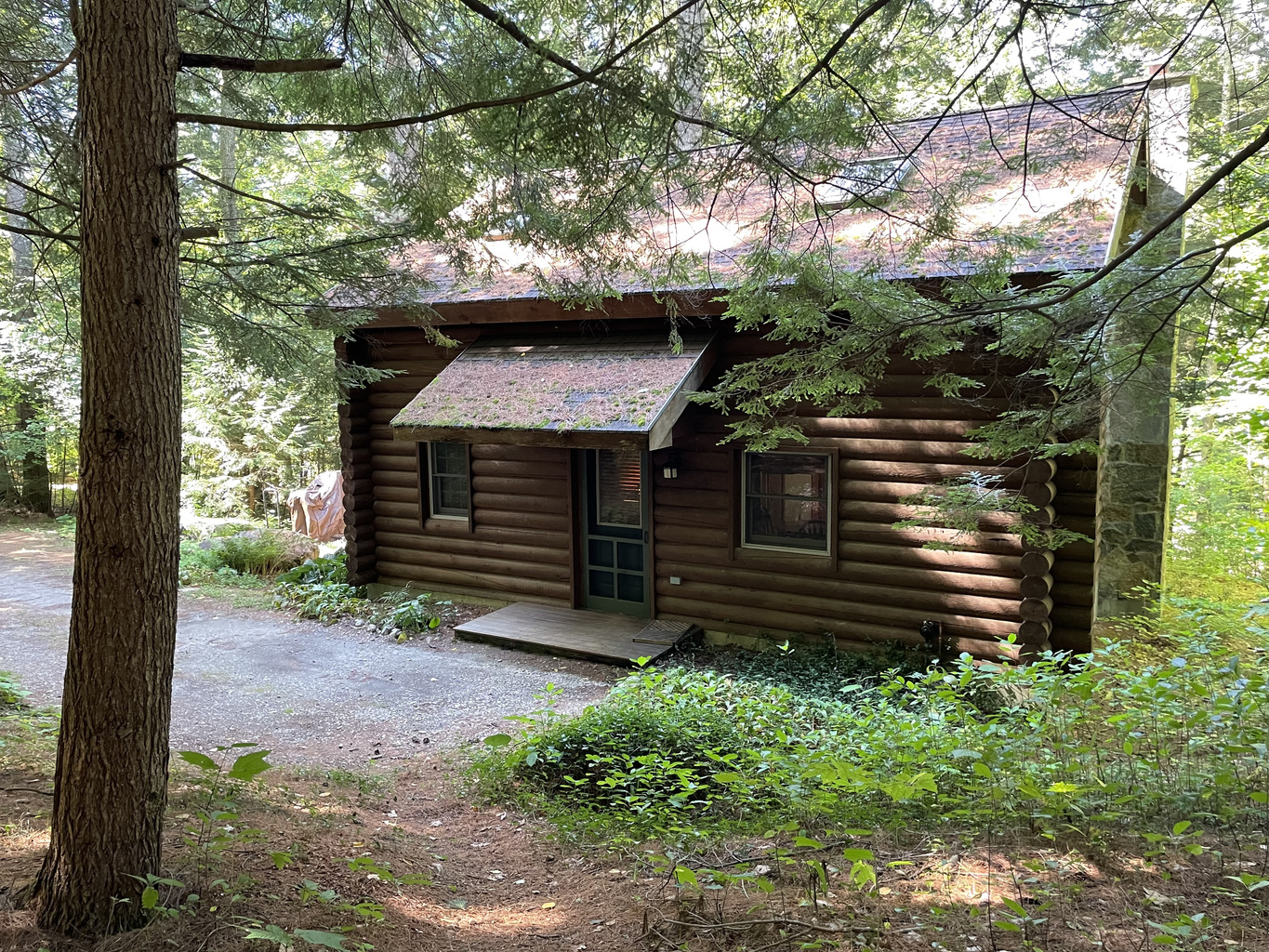 Nestled in a White Pine and Hemlock Forest