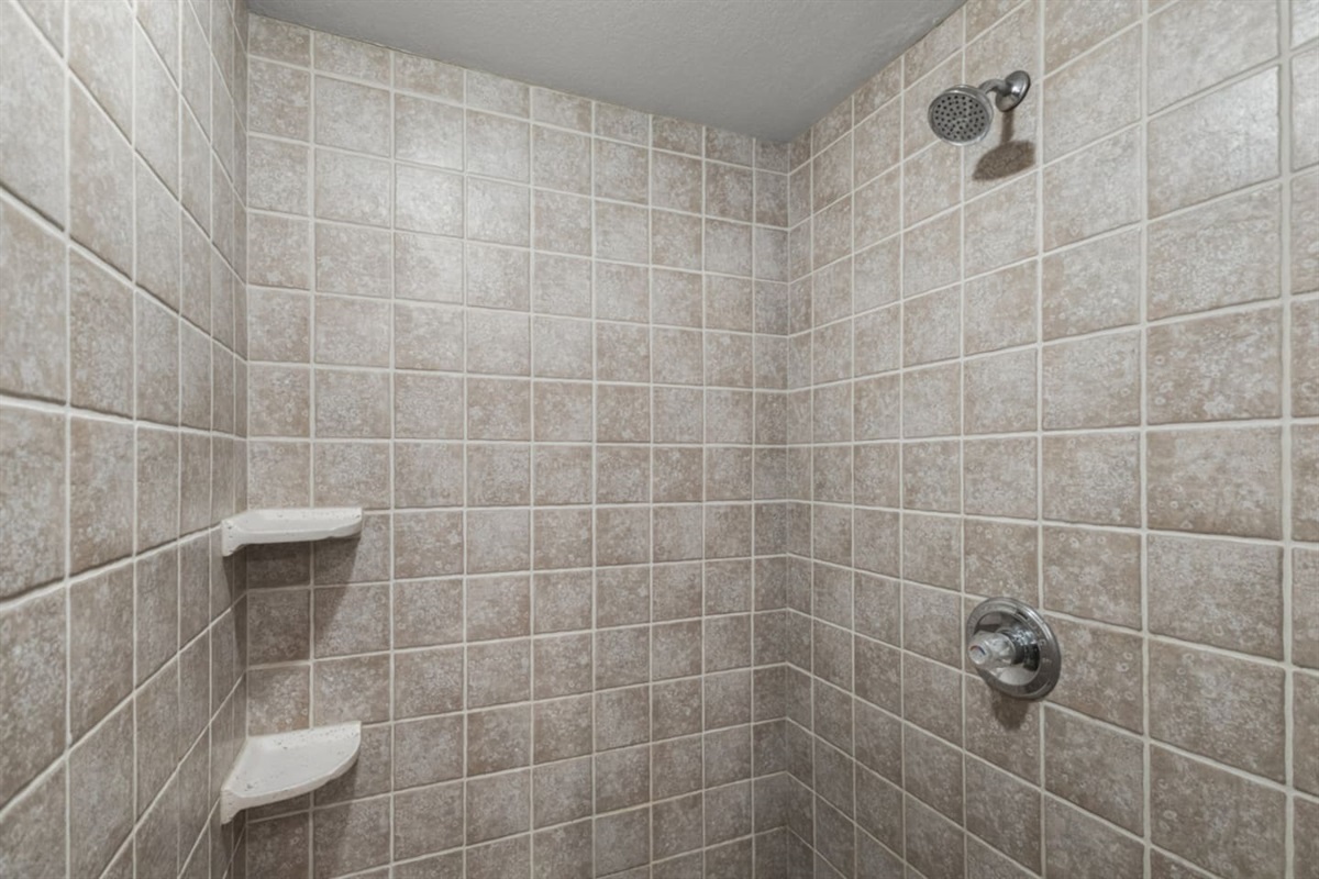 Ensuite Bathroom #2 | Shower Area 
