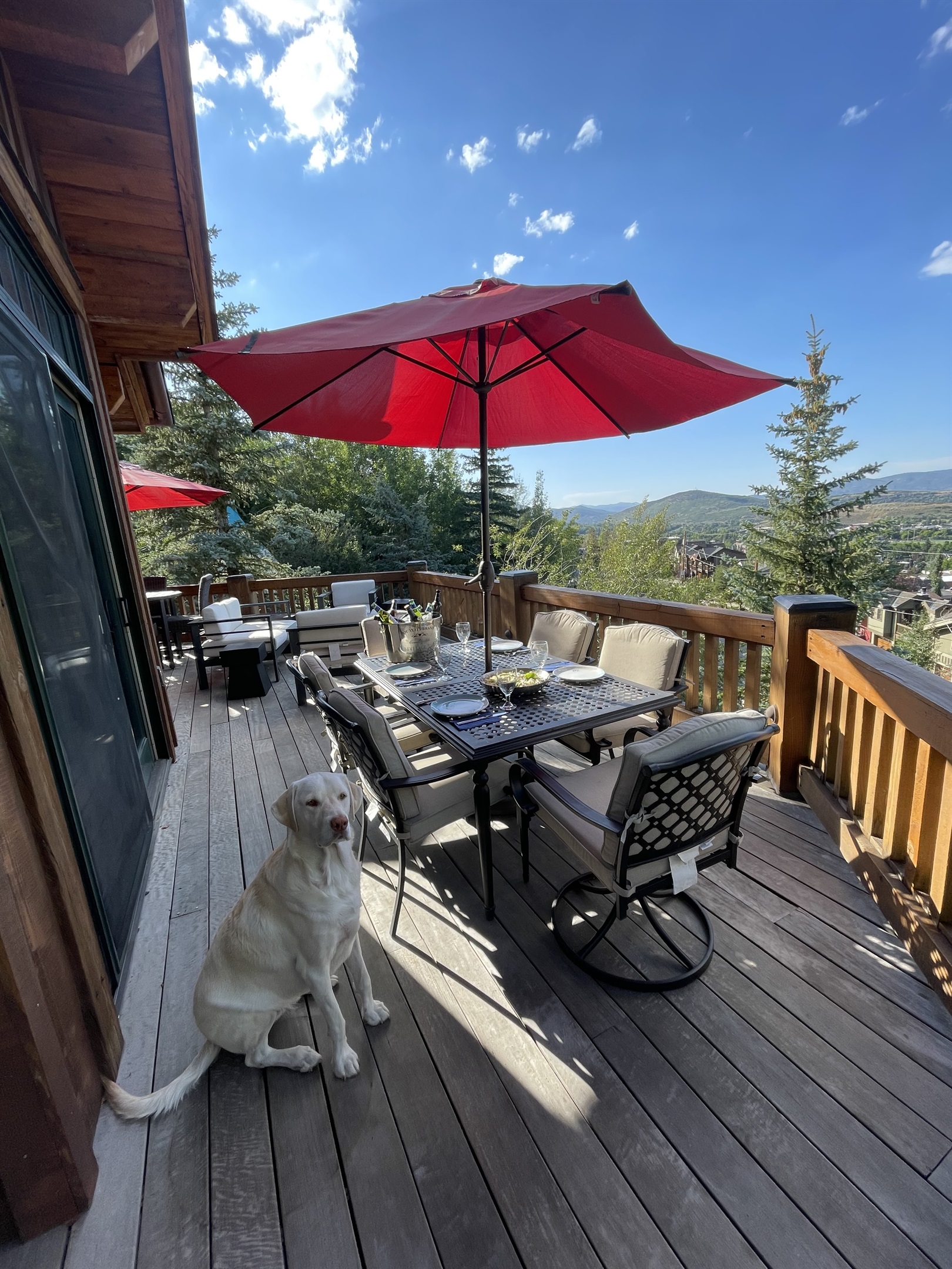 Perfect spot for al fresco dinners summer or winter thanks to standing heaters and gas fireplace