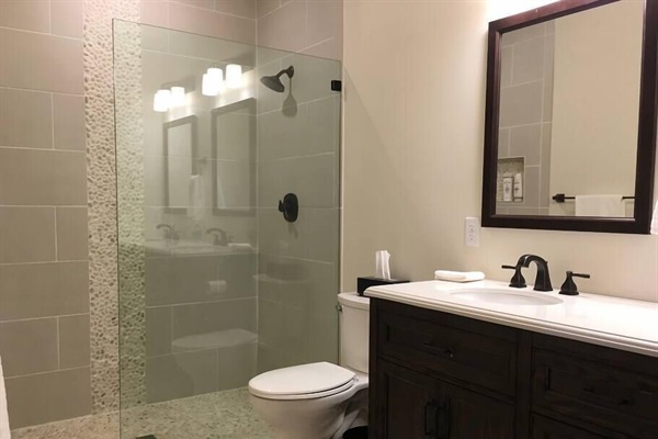 Downstairs Master Bathroom