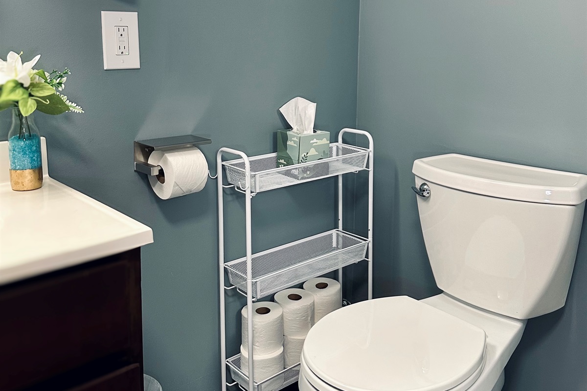 Additional basement bathroom storage stocked with extra toilet paper and facial tissues for convenient everyday access.