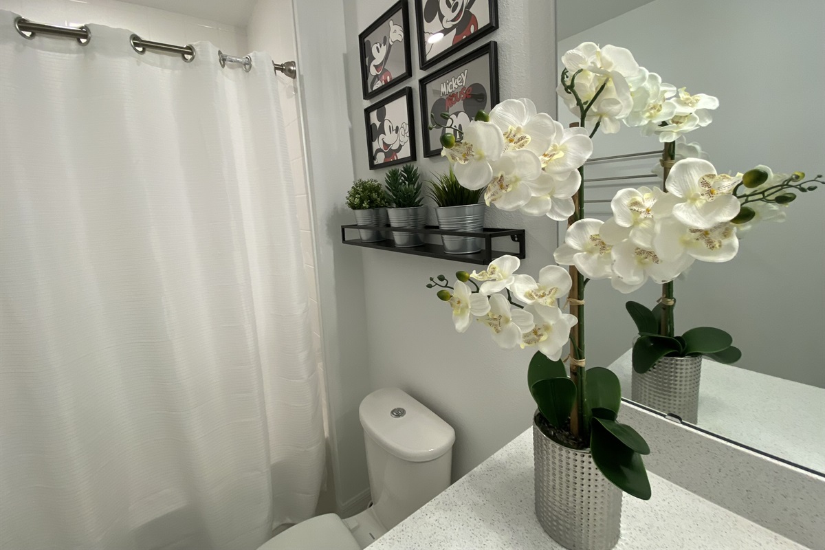 Guest Bathroom