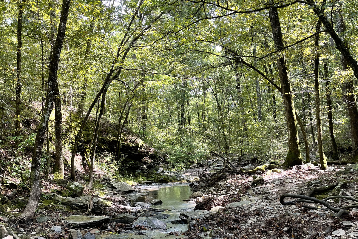 Nearby attraction, not on property: This peaceful creek and wooded hiking area is a short drive from Stonewood. Guests often ask us for directions to this favorite local spot — we’re happy to share tips before your stay.

