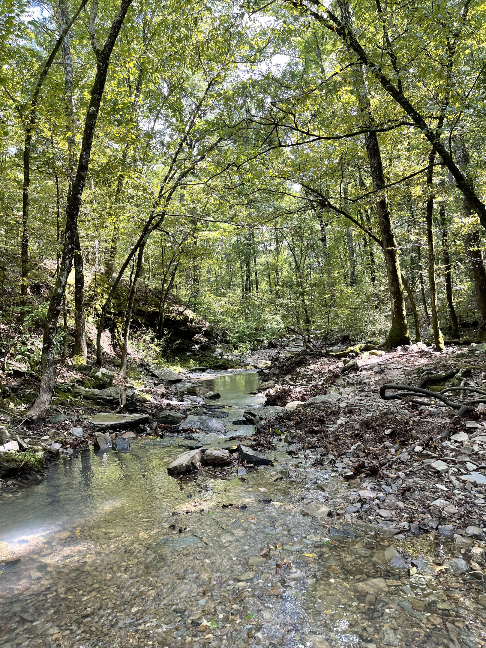 Nearby attraction, not on property: This peaceful creek and wooded hiking area is a short drive from Stonewood. Guests often ask us for directions to this favorite local spot — we’re happy to share tips before your stay.
