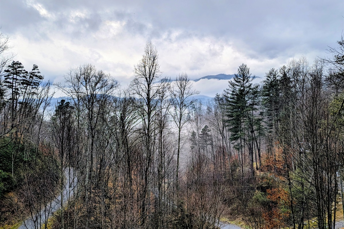 Foggy Morning Photo captured by one of our fabulous guests!