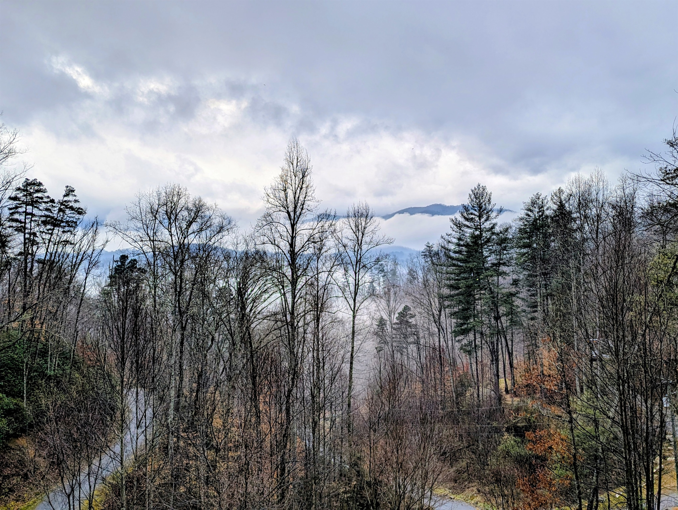 Foggy Morning Photo captured by one of our fabulous guests!